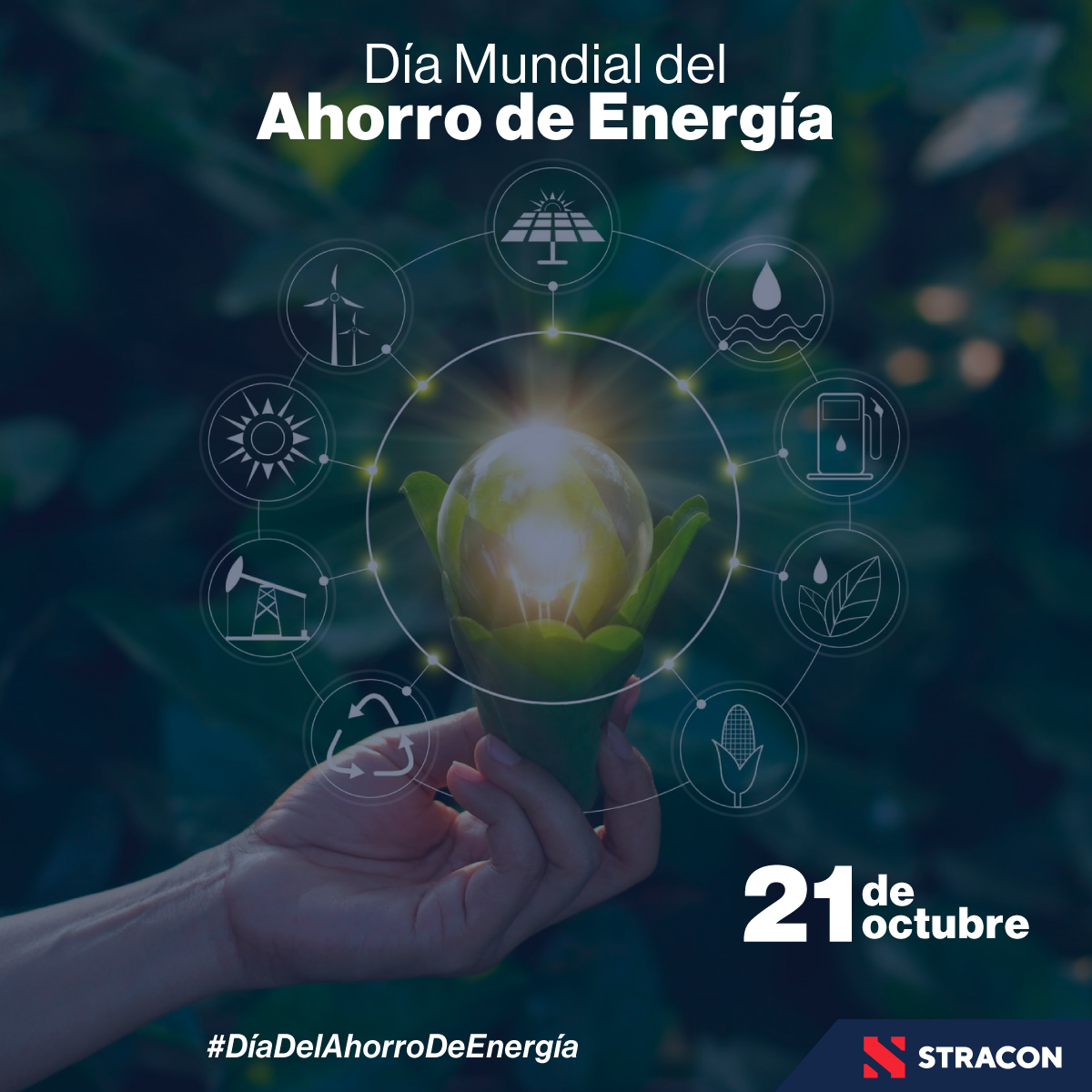 Contenido para Twitter - Stracon